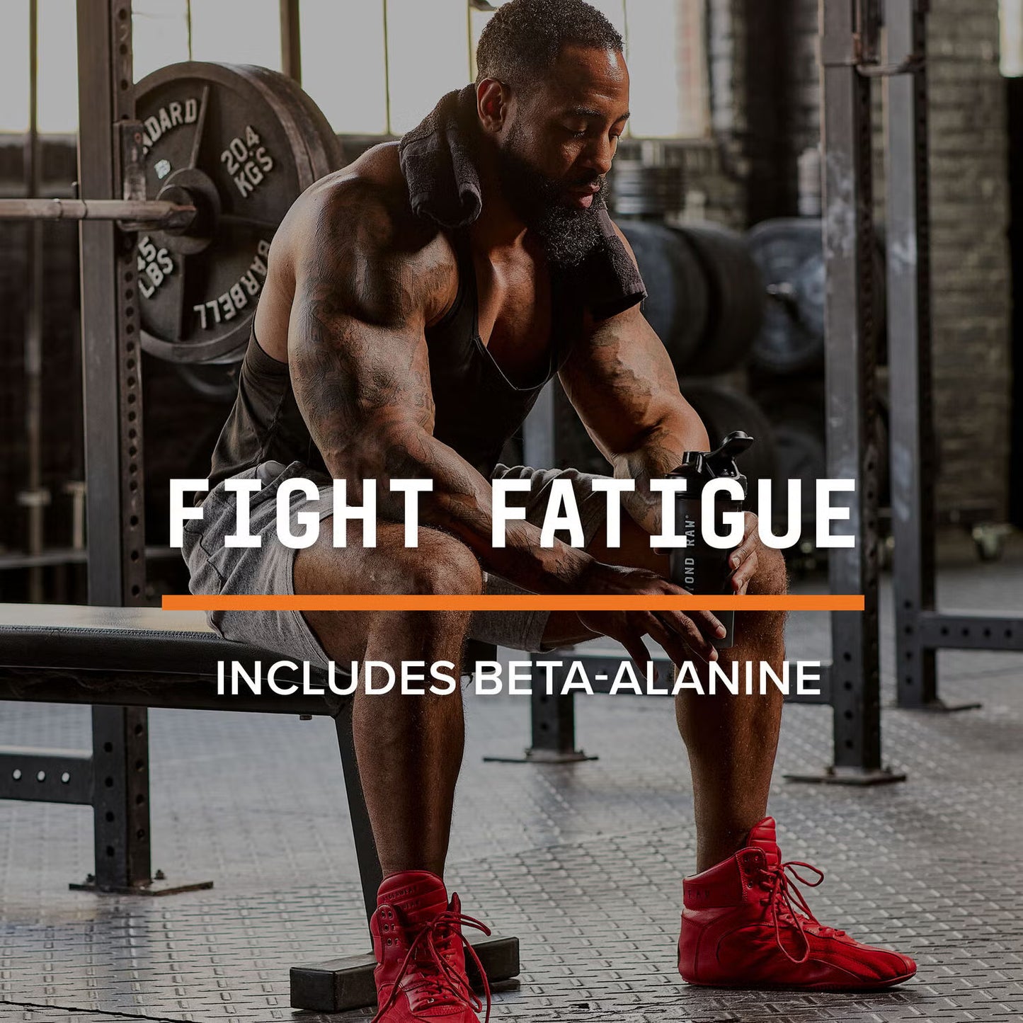 LIT™ On-The-Go Pre-Workout - Watermelon - 16oz. (12 Cans)